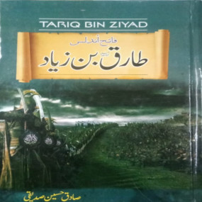 Lazy-loaded TARIQ BIN ZIYAD